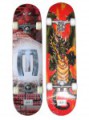 Skateboarding Skateboarding